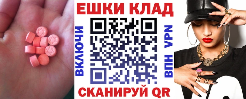 Купить закладки Заводоуковск Ecstasy таблы