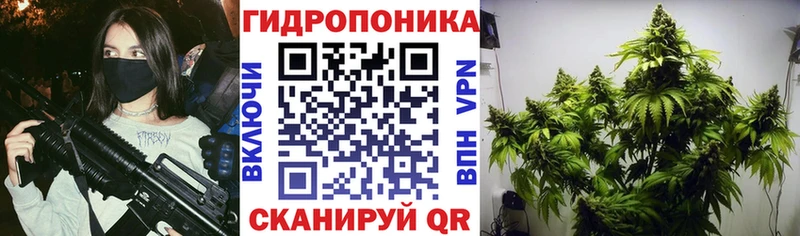 Купить закладки  Заводоуковск  Каннабис сатива 